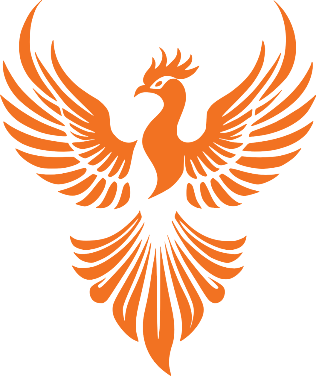 Rising Phoenix Ventures